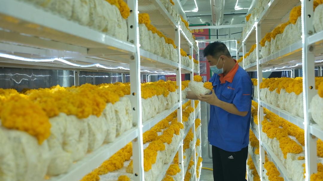 ɽ|fS𡱮a(chn)I(y)ġƼ(wn)a(chn)